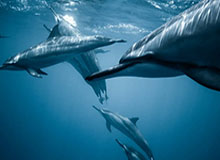 开云体育：点亮你的全场体育生活